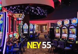 NEY55 gaming platform
